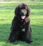 Превью фото № 43367