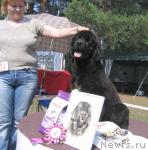 Превью фото № 4339