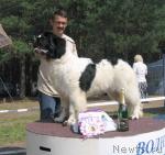 Превью фото № 4343