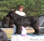 Превью фото № 4344