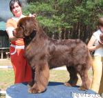 Превью фото № 4346