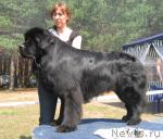 Превью фото № 4351