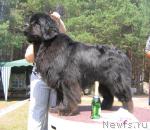 Превью фото № 4357