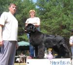 Превью фото № 4360