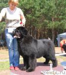 Превью фото № 4361