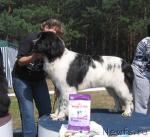 Превью фото № 4362