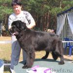 Превью фото № 4365