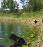 Превью фото № 43674