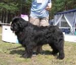 Превью фото № 4372