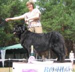 Превью фото № 4373