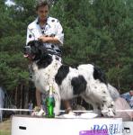 Превью фото № 4374