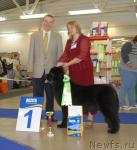 Превью фото № 43758