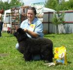 Превью фото № 44076