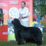 Превью фото № 44115