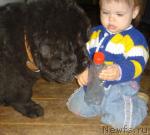 Превью фото № 44494