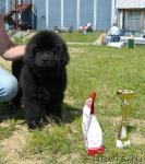 Превью фото № 44655