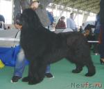 Превью фото № 4474