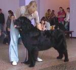 Превью фото № 44832