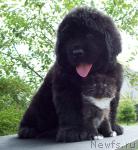 Превью фото № 44843