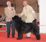 Превью фото № 45161