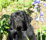 Превью фото № 45254