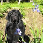 Превью фото № 45255