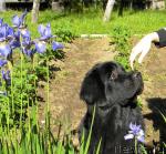 Превью фото № 45256