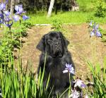 Превью фото № 45257