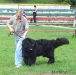 Превью фото № 45284