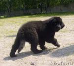 Превью фото № 45524