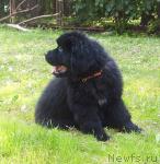 Превью фото № 45527