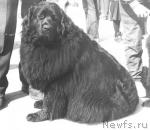 Превью фото № 4609