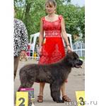 Превью фото № 46146