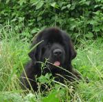 Превью фото № 46267