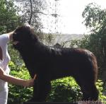 Превью фото № 46268