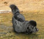 Превью фото № 46281