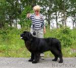 Превью фото № 46313