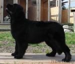 Превью фото № 46316