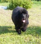 Превью фото № 46349