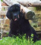 Превью фото № 46360