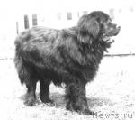 Превью фото № 4646