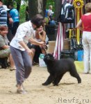 Превью фото № 46709