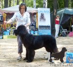 Превью фото № 46724