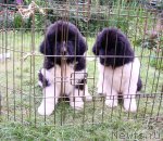 Превью фото № 46867