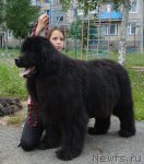 Превью фото № 46974