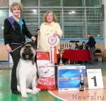 Превью фото № 47043