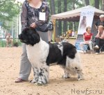 Превью фото № 47117