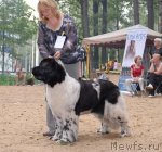 Превью фото № 47118