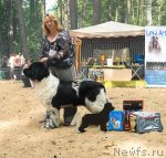 Превью фото № 47121