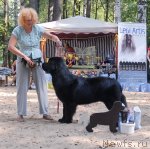 Превью фото № 47152